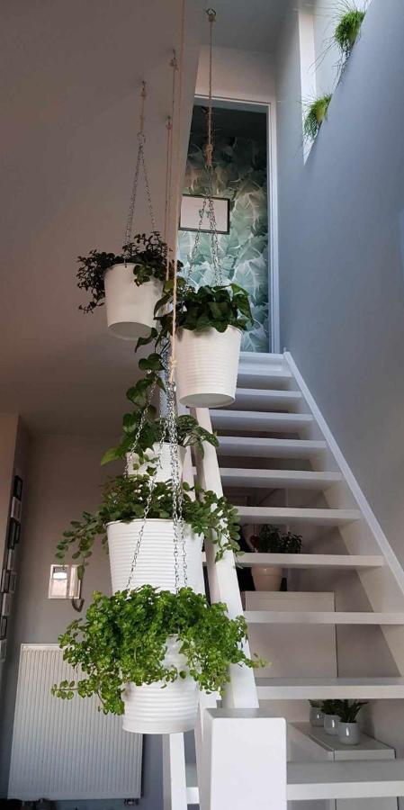 Apartment Bonheur