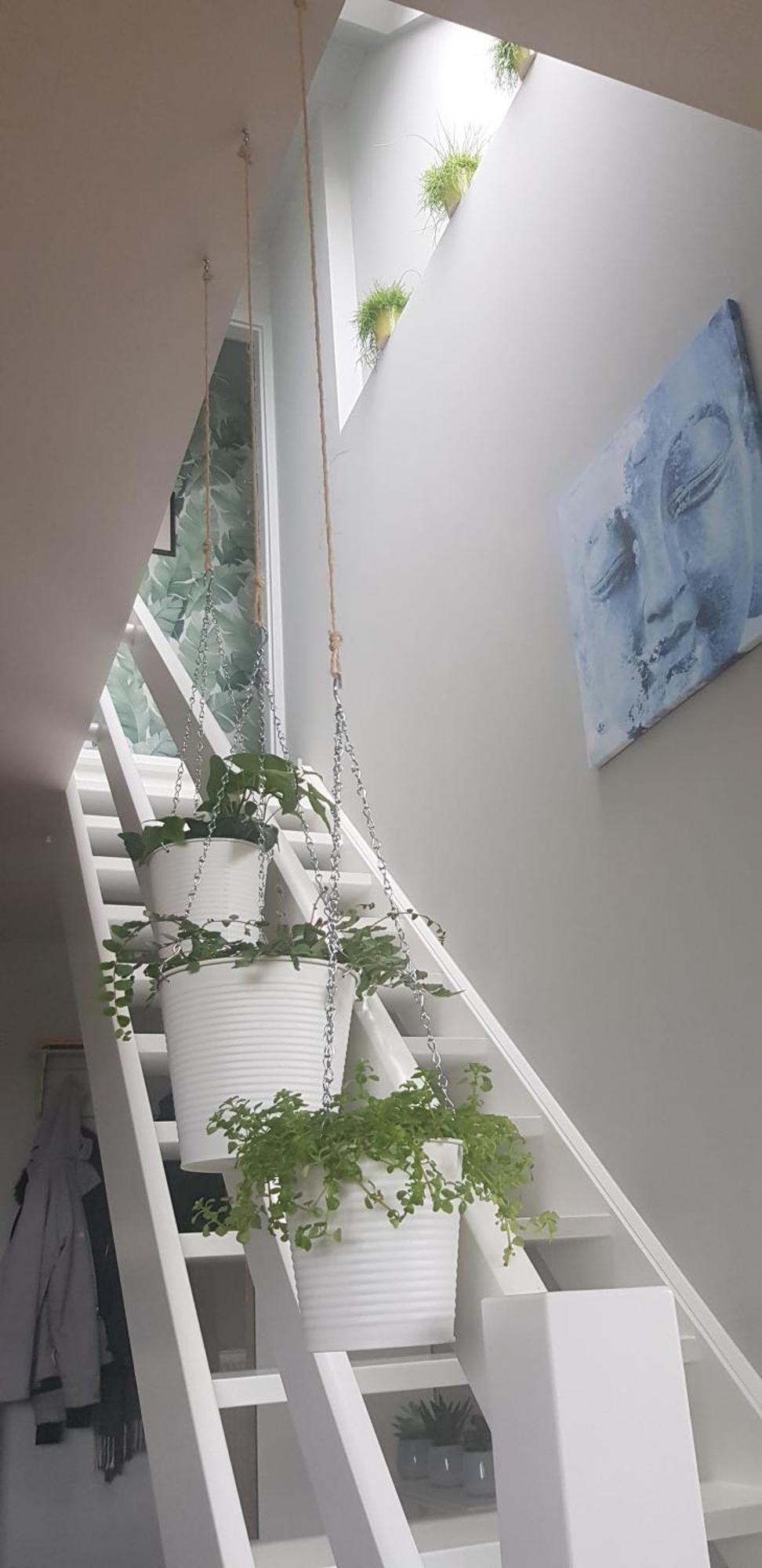 Bonheur Apartment *