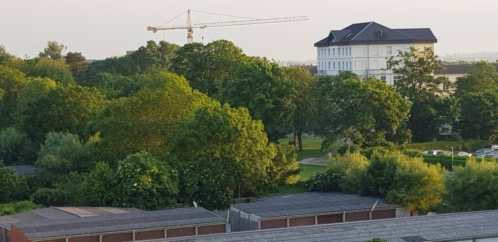 Apartment Bonheur Blankenberge